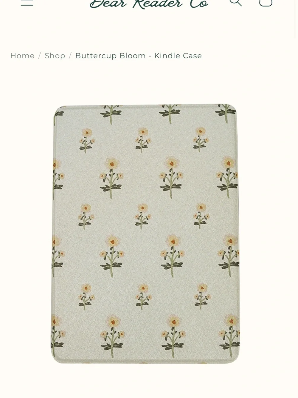Kindle Case